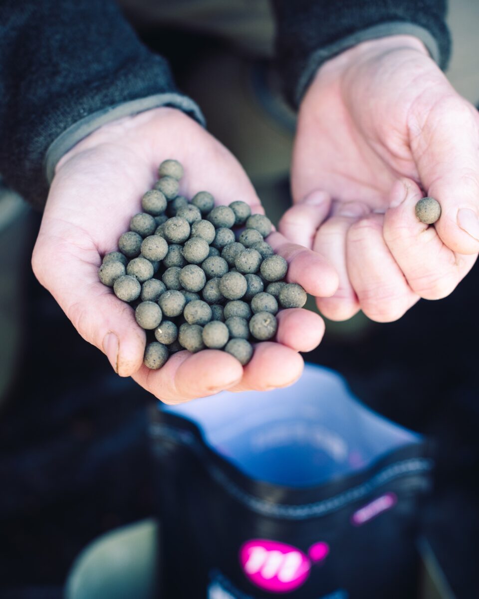 Iso Fish 9p Mainline ISO Fish – 10kg Shelf Life Boilies + 2x Smart Liquids ...
