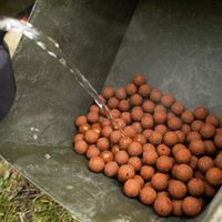 Session Baits UK Pacific Tuna Fishmeal Boilies, 12mm, For Carp & Coarse Fishing, All Pack Sizes
