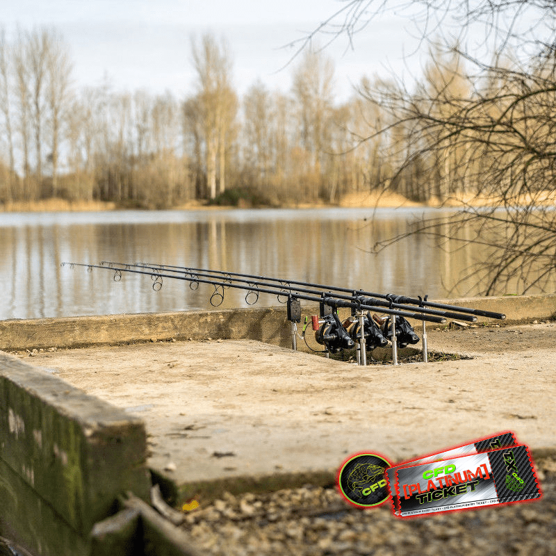 π©ΆποΈ 3x Daiwa Crosscast Z Carp Rods Or Β£425 CASH!!!
