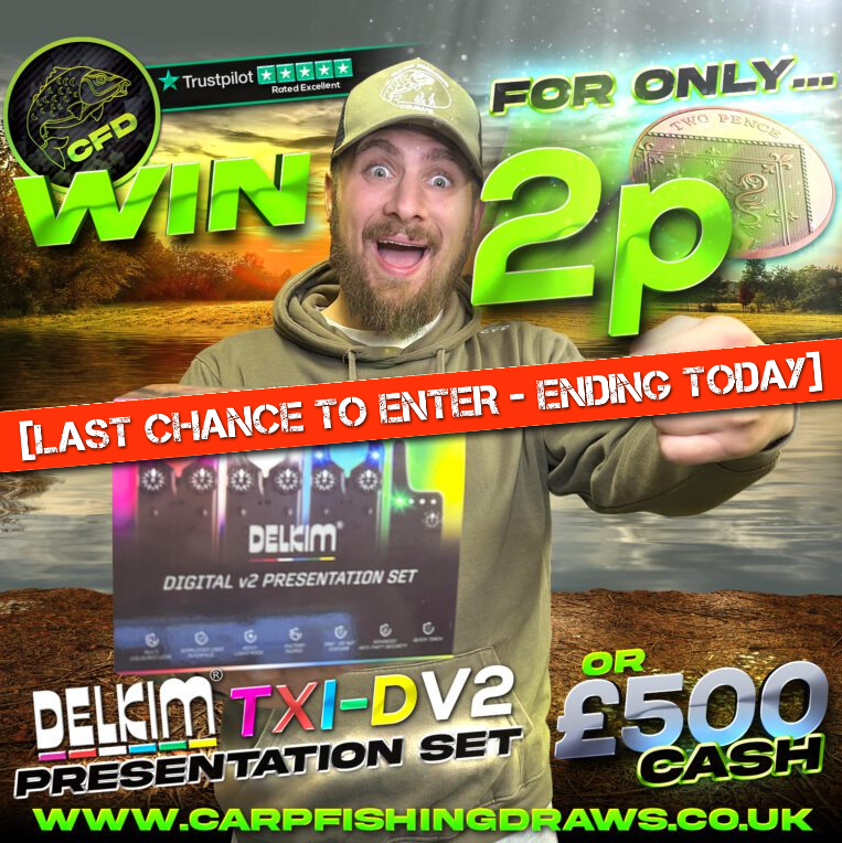 Delkim Txi-D v2's or £500 for 2p!! - Ending today