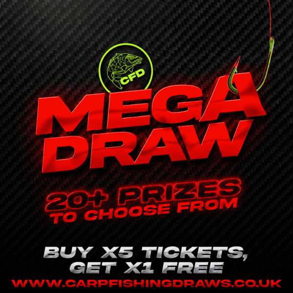 🎟️ [BUY 5 TICKETS & GET 1 FREE] 🎟️ – Multi-Choice MEGA Draw