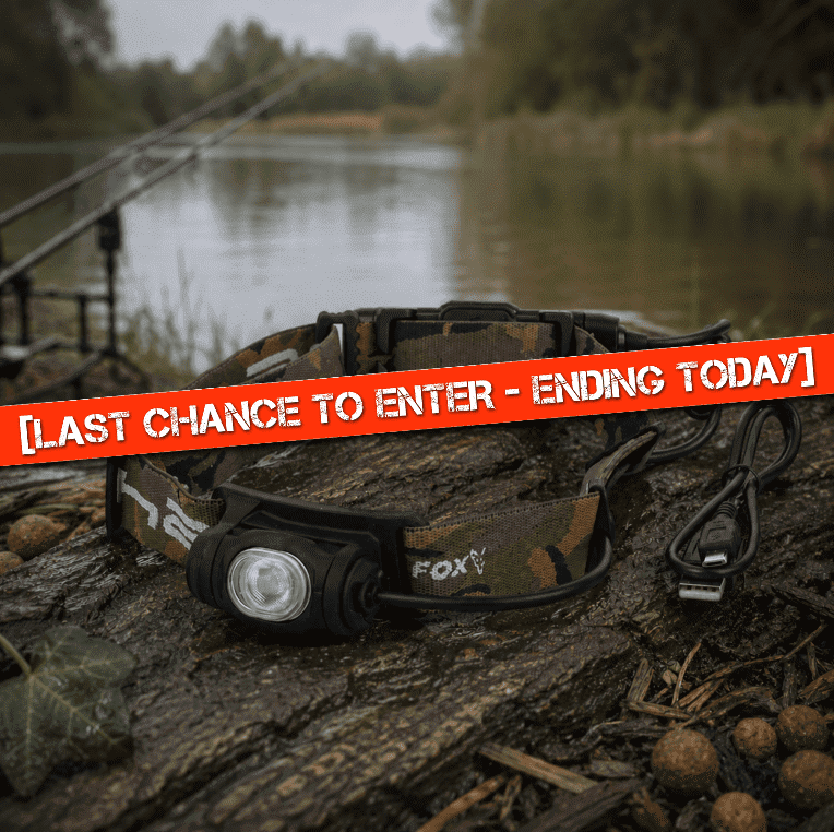 💪 [MEGA ODDS DRAW] – Fox Halo AL350C Rechargeable Headtorch – Ending Today!