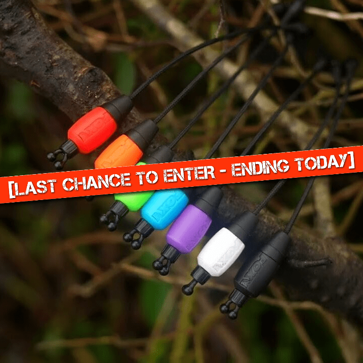 💪 [MEGA ODDS DRAW] – Fox Black Label Dumpy Halo Bobbins or £75 Tax-Free Cash – Ending today