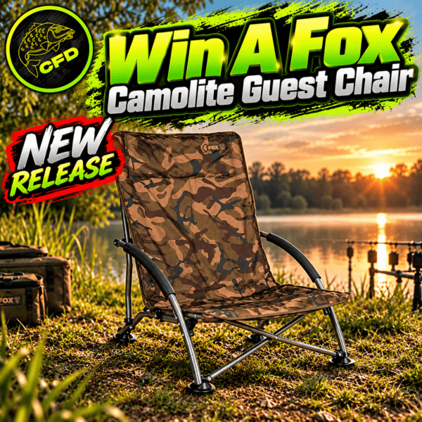 [NEW RELEASE] Fox Camolite Guest Chair